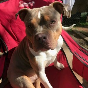 Meet your Posher, Ariana